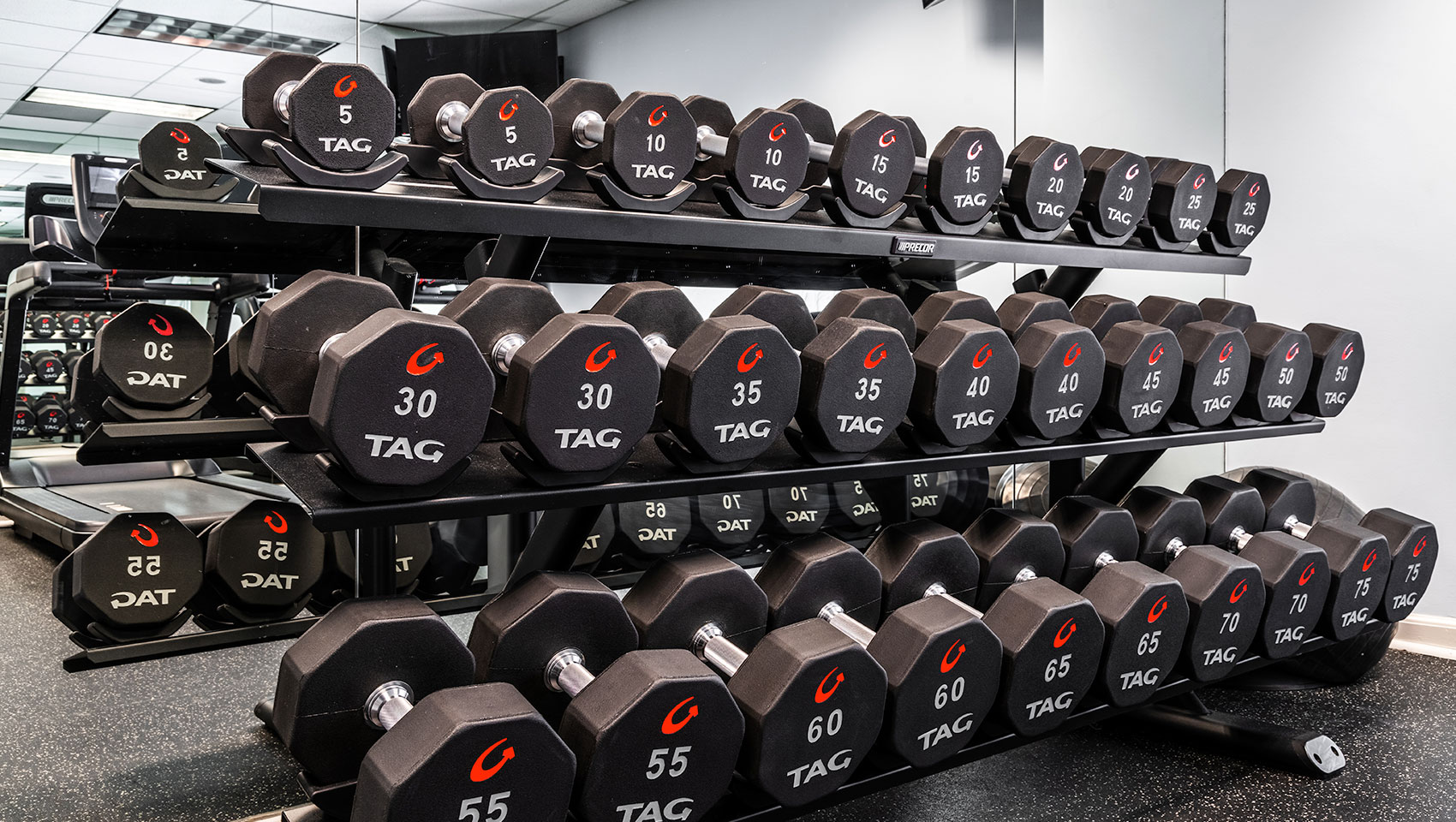 Fitness Center Equipment