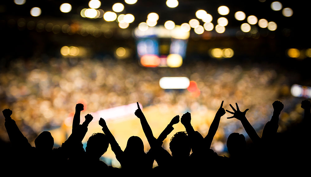 a crowd cheering at a sports arena